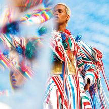 Foto de MERLOT (USA)