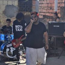 Foto de Baratas Grávidas