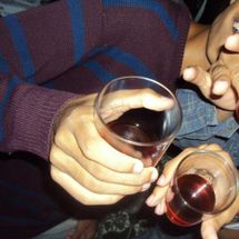 Foto de Jovens Primatas