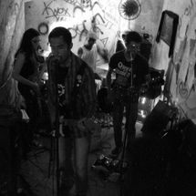 Foto de Abacates Valvulados