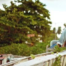 Foto de Conspiração Reptiliana