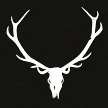 Foto de Chillan las Bestias