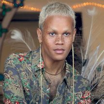 Foto de MERLOT (USA)