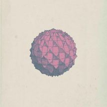 Foto de Broken Bells