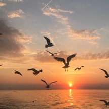 Foto de Outro Saculejo