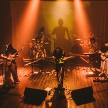 Foto de Steamy Frogs