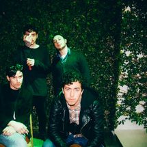 Foto de Flaming Carrots