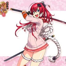 Foto de Hyakka Ryouran Samurai Girls