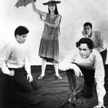 Foto de Suburban Lawns