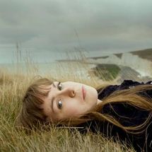 Foto de Alessi's Ark