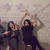 Foto de Musa Híbrida