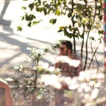 Foto de Pé de Mulambo