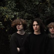 Foto de Indigo Zebras