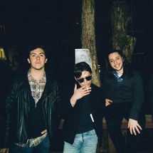 Foto de Flaming Carrots