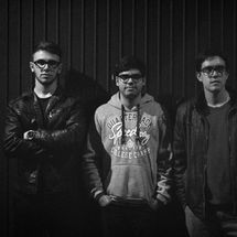 Foto de Don Camaleão