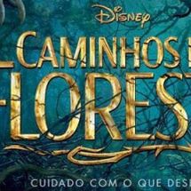 Foto de Caminhos da Floresta