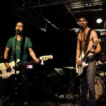 Foto de Viralata Rex