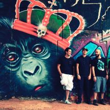 Foto de Chimpanzés de Gaveta