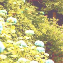 Foto de Daniella Lopes