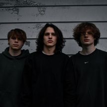 Foto de Indigo Zebras