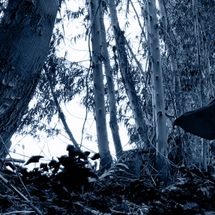 Foto de Dødsanklageren