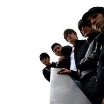 Foto de Mr White Rabbit