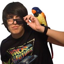 Foto de MissaSinfonia