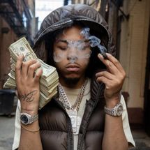 Foto de BloodHound Q50