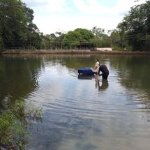 Foto de Paulo Rodrigo Pianista
