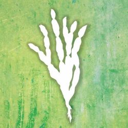 Foto do artista Grupo Carqueja