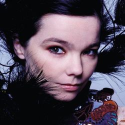 Foto do artista Björk