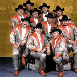 Foto do artista Grupo Laberinto