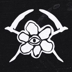 Foto do artista kamaitachi