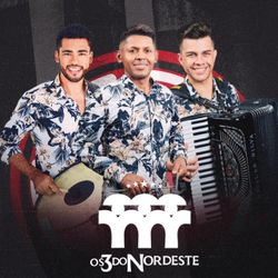 Foto do artista Os 3 do Nordeste