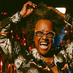 Foto do artista Sandra de Sá