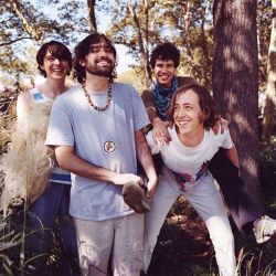 Foto do artista Animal Collective