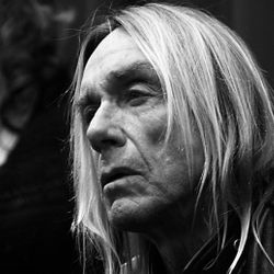 Foto do artista Iggy Pop