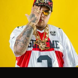 Foto do artista MC Ryan SP