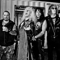 Foto do artista Twisted Sister