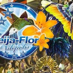 Foto do artista G.R.E.S. Beija-Flor de Nilópolis (RJ)
