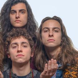 Foto do artista Greta Van Fleet