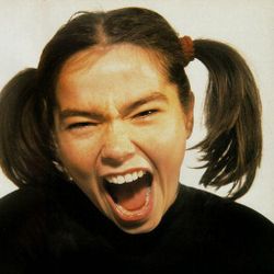 Foto do artista Björk