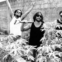 Foto do artista Os Pedrero