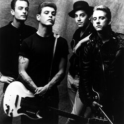 Foto do artista Social Distortion