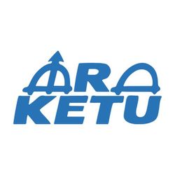 Foto do artista Ara Ketu