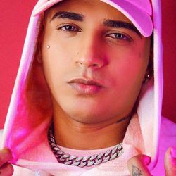 Foto do artista Mc Vertinho