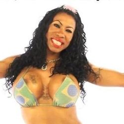 Foto do artista Inês Brasil
