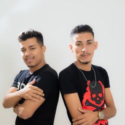 Foto do artista Os Feras do Pizeiro