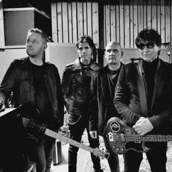 Foto do artista The Chameleons