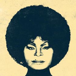 Foto do artista Elza Soares